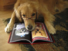 relocationguide contributor